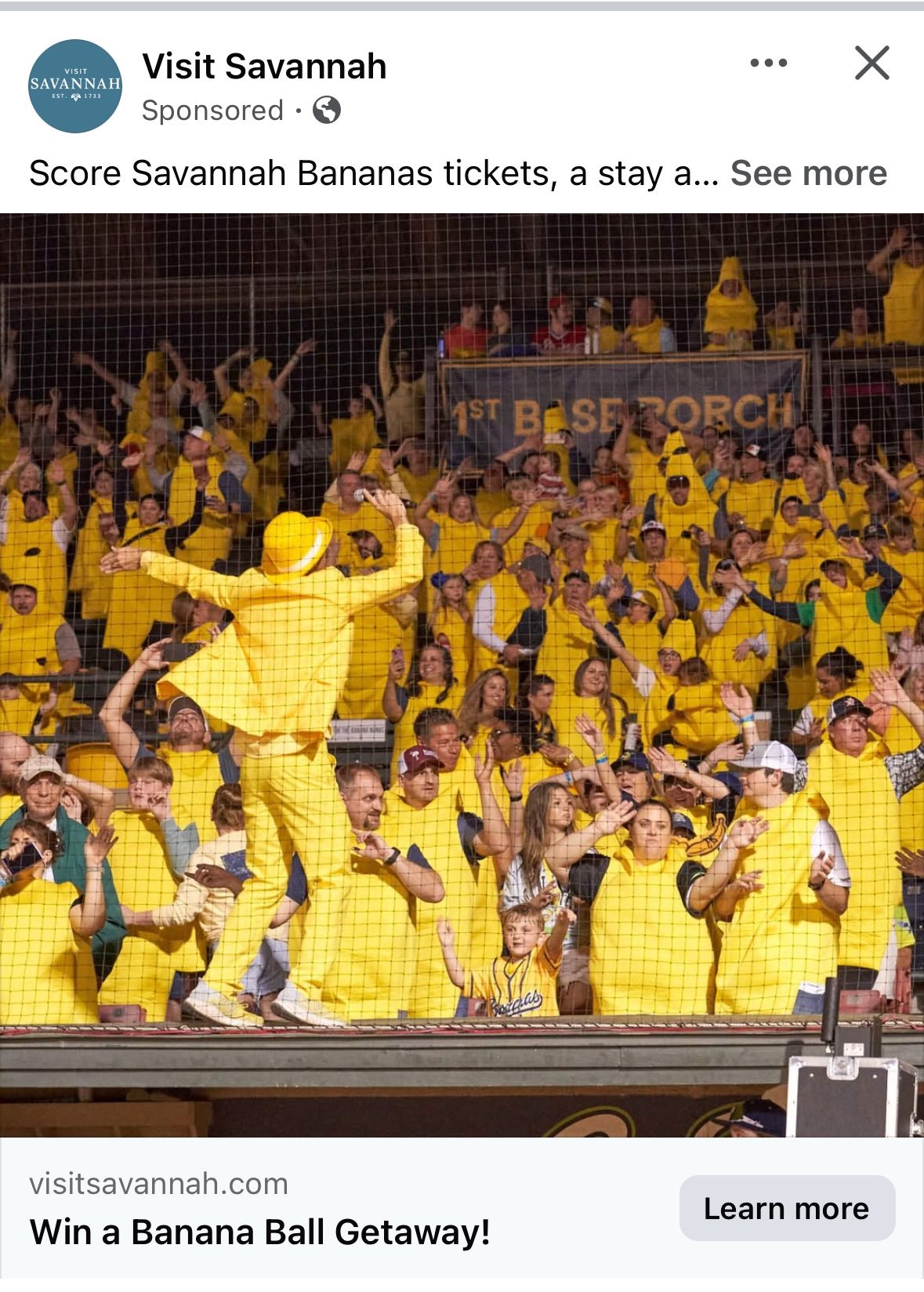 Savannah Bananas fans in yellow, cheering